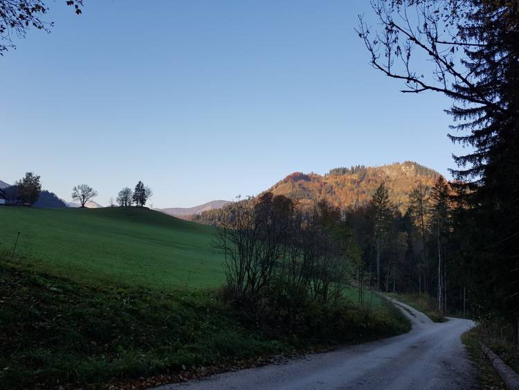 20181013_081603.jpg 20181013_081603.jpg