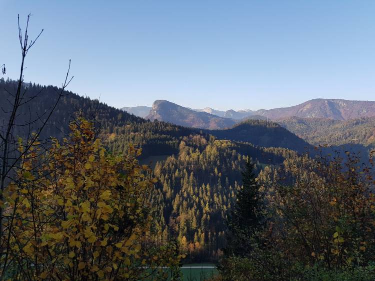 20181013_082911.jpg 20181013_082911.jpg