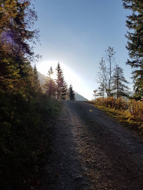 20181013_084203.jpg 20181013_084203.jpg