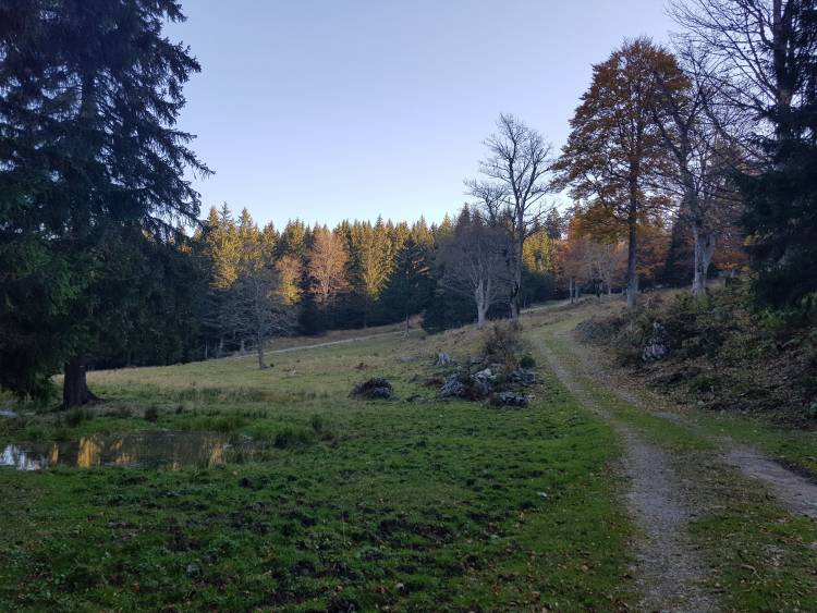 20181013_091241.jpg 20181013_091241.jpg