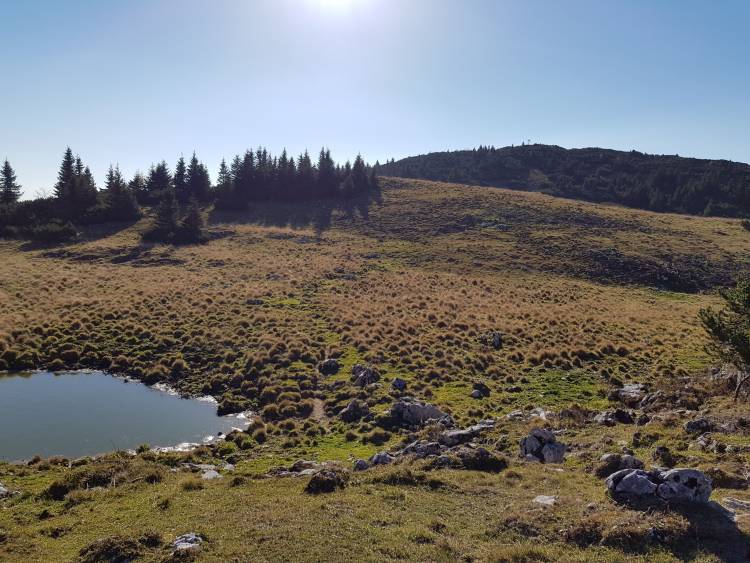 20181013_100755.jpg 20181013_100755.jpg