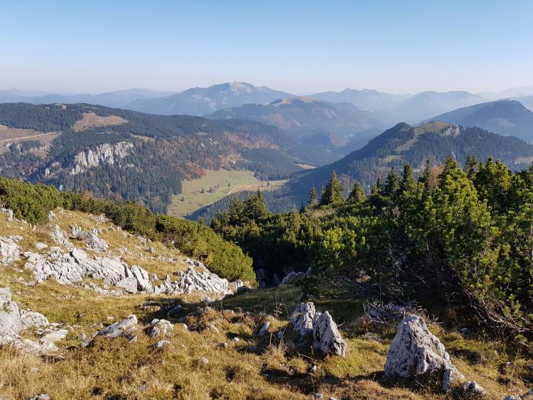 20181013_104421.jpg 20181013_104421.jpg