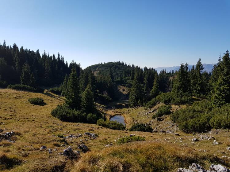 20181013_105411.jpg 20181013_105411.jpg