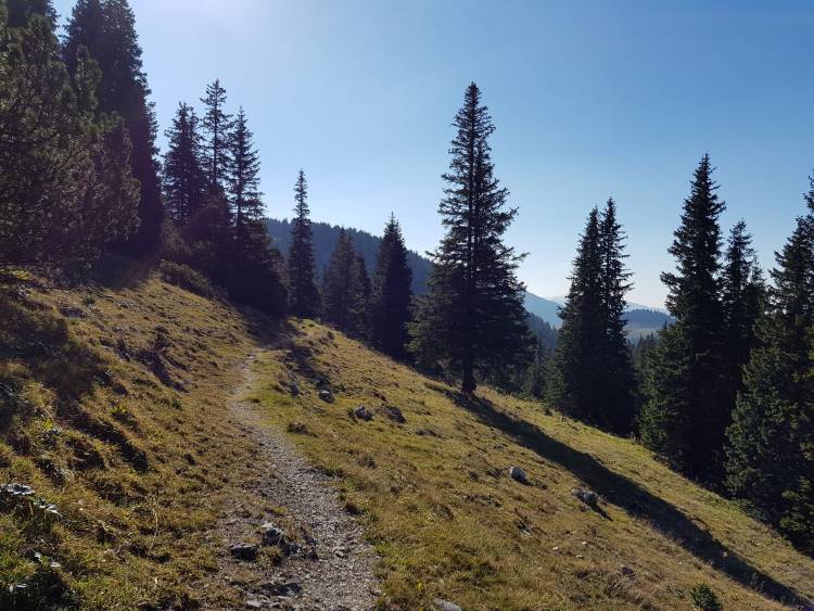 20181013_110813.jpg 20181013_110813.jpg