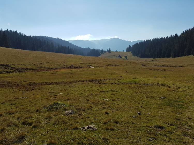 20181013_113609.jpg 20181013_113609.jpg