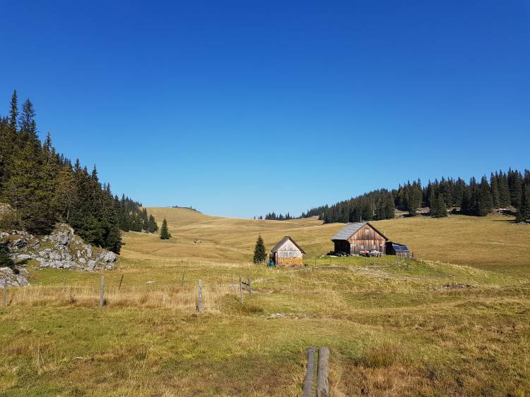 20181013_122014.jpg 20181013_122014.jpg