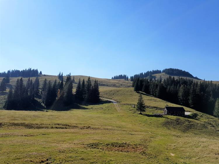 20181013_124139.jpg 20181013_124139.jpg