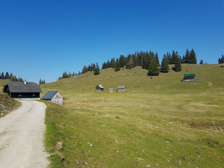 20181013_130438.jpg 20181013_130438.jpg