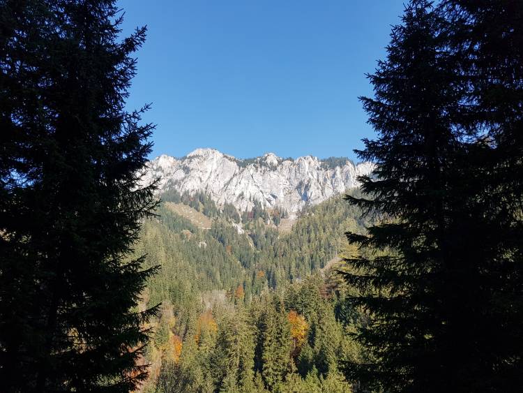 20181013_134804.jpg 20181013_134804.jpg