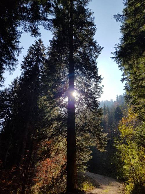 20181013_135108.jpg 20181013_135108.jpg