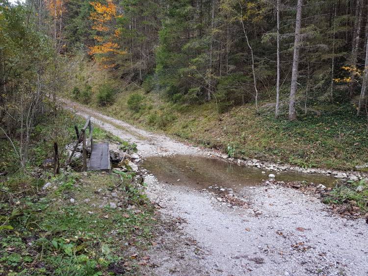 20181013_141346.jpg 20181013_141346.jpg