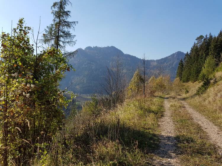 20181013_142538.jpg 20181013_142538.jpg