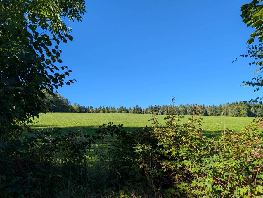 pxl_20251004_075359500.jpg
