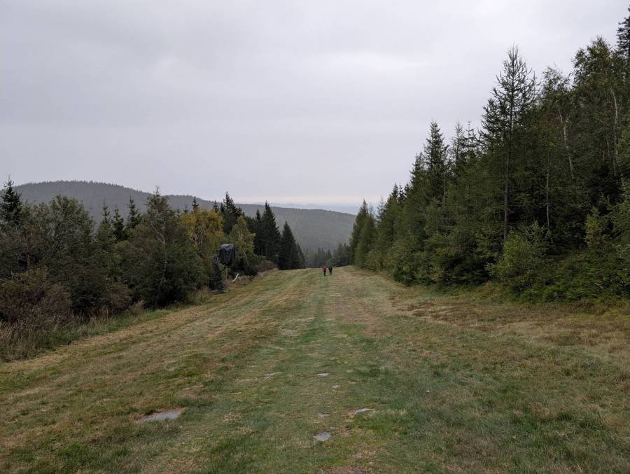 pxl_20251004_143311060.jpg
