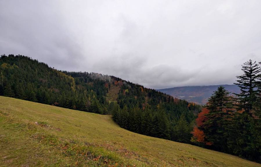 pxl_20251026_112950446.jpg
