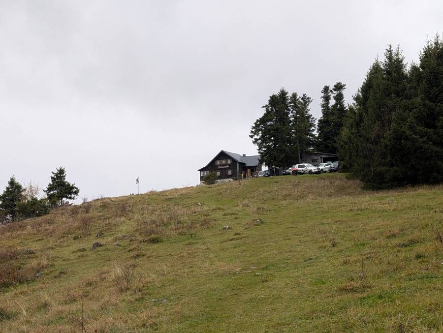 pxl_20251026_114358099.mp.jpg