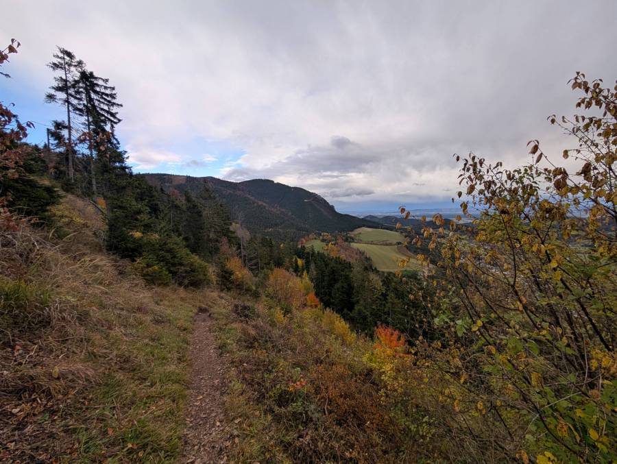 pxl_20251026_125033948.jpg