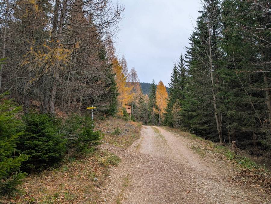 pxl_20251108_103958269.jpg