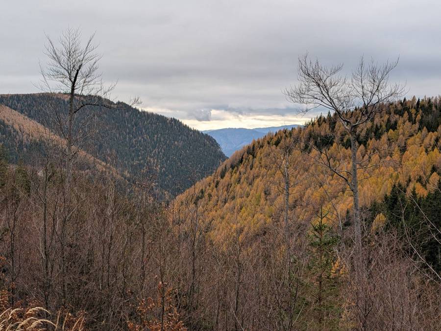pxl_20251108_114535809.jpg