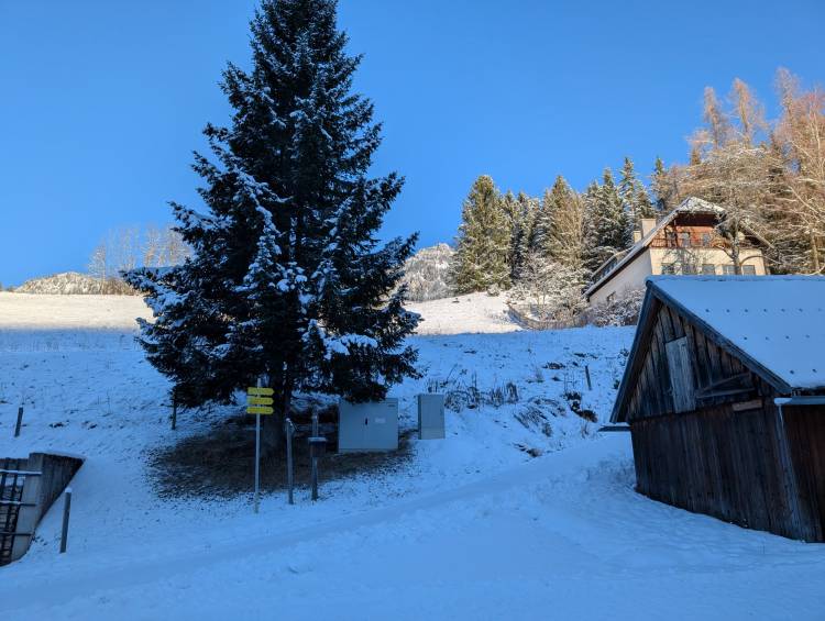 pxl_20251128_085737308.jpg pxl_20251128_085737308.jpg