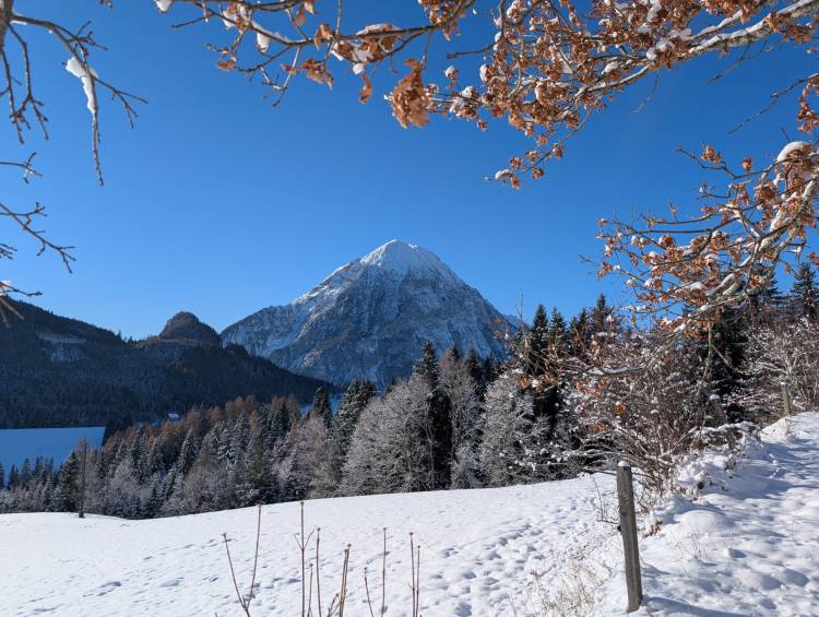 pxl_20251128_090944502.jpg pxl_20251128_090944502.jpg