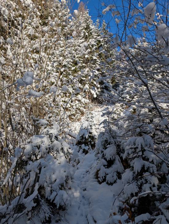 pxl_20251128_091242926.jpg pxl_20251128_091242926.jpg