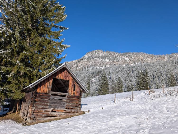 pxl_20251128_093915207.jpg pxl_20251128_093915207.jpg