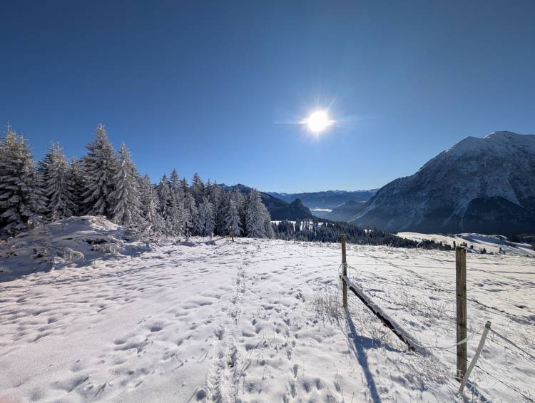 pxl_20251128_100400977.jpg pxl_20251128_100400977.jpg