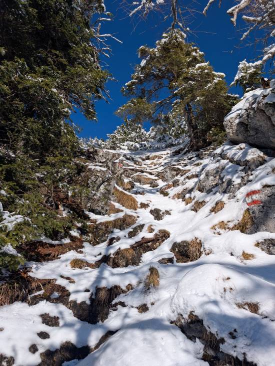 pxl_20251128_112432409.mp.jpg pxl_20251128_112432409.mp.jpg