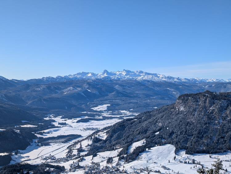 pxl_20251128_114016637.jpg pxl_20251128_114016637.jpg