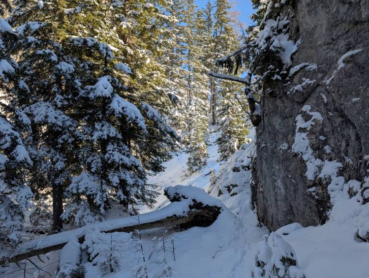 pxl_20251128_121819109.jpg pxl_20251128_121819109.jpg