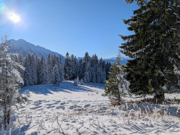 pxl_20251128_124148110.jpg pxl_20251128_124148110.jpg