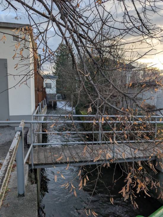 pxl_20251207_075103937.mp.jpg pxl_20251207_075103937.mp.jpg