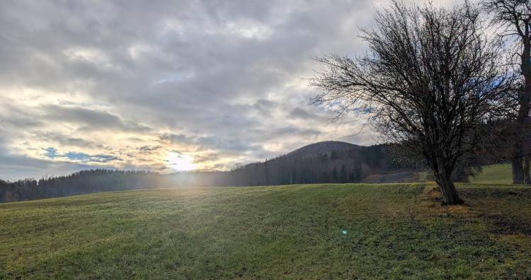 pxl_20251207_081337185.mp.jpg pxl_20251207_081337185.mp.jpg