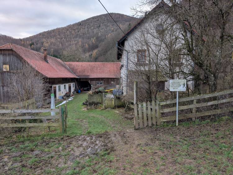 pxl_20251207_083619215.jpg pxl_20251207_083619215.jpg