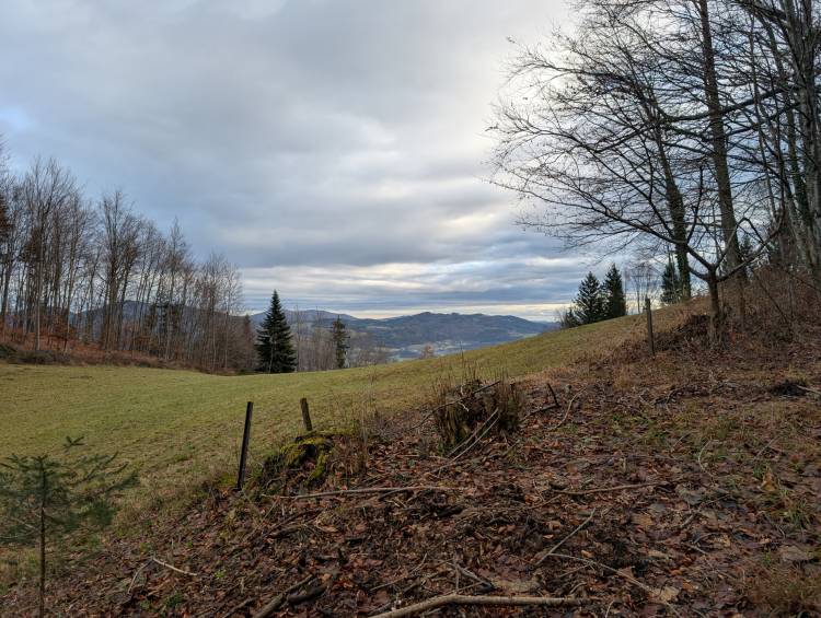 pxl_20251207_085537877.jpg pxl_20251207_085537877.jpg