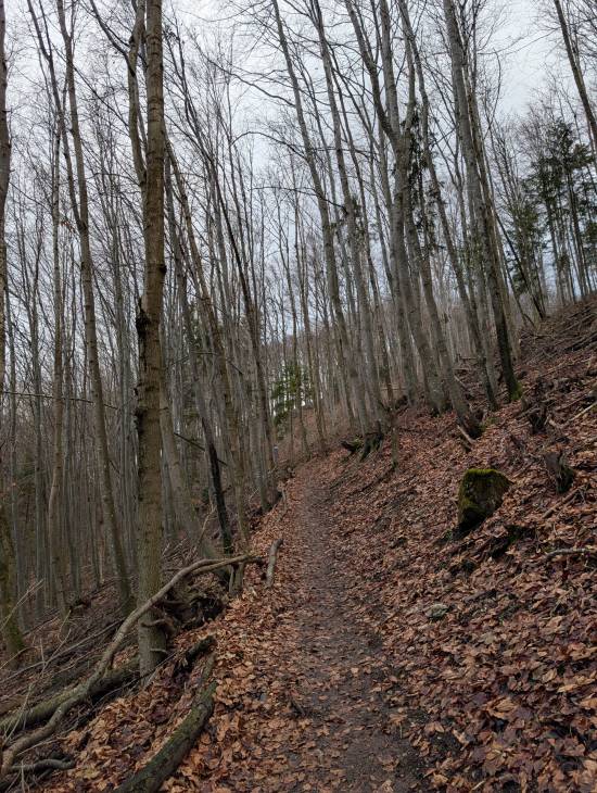 pxl_20251207_091138040.jpg pxl_20251207_091138040.jpg