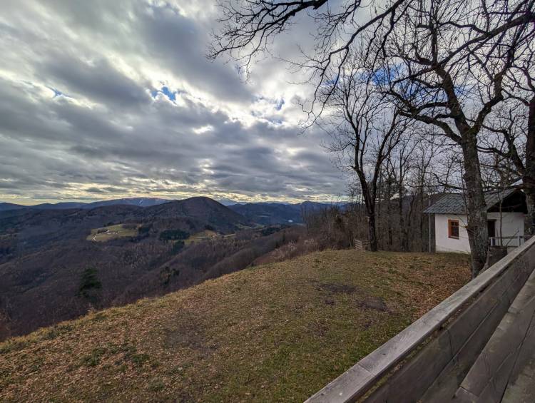 pxl_20251207_095606165.jpg pxl_20251207_095606165.jpg