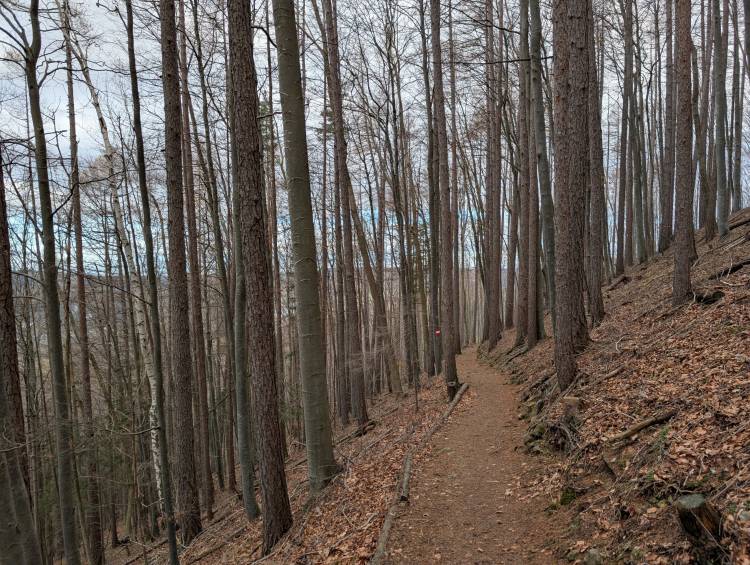 pxl_20251207_100531662.mp.jpg pxl_20251207_100531662.mp.jpg