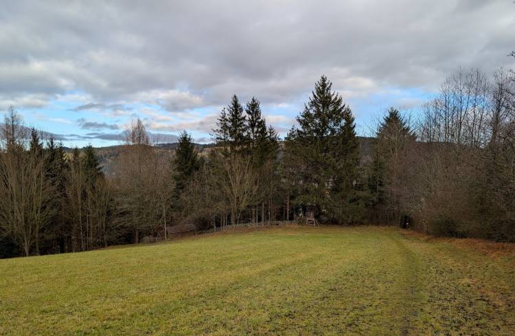 pxl_20251207_103001584.jpg pxl_20251207_103001584.jpg