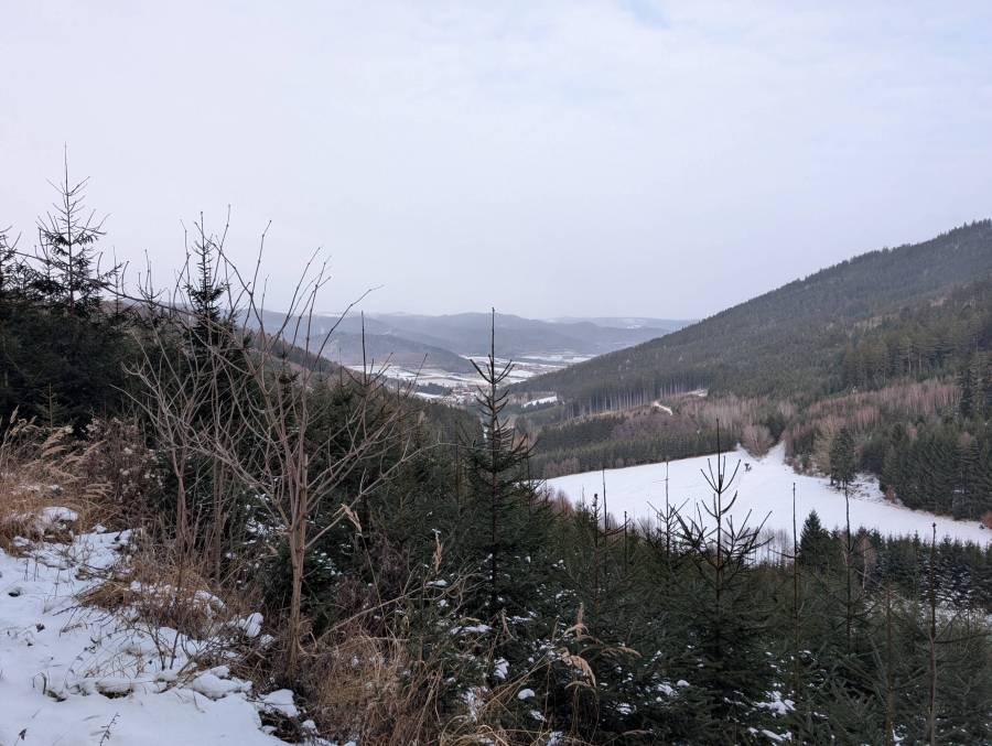 pxl_20251231_115256493.jpg
