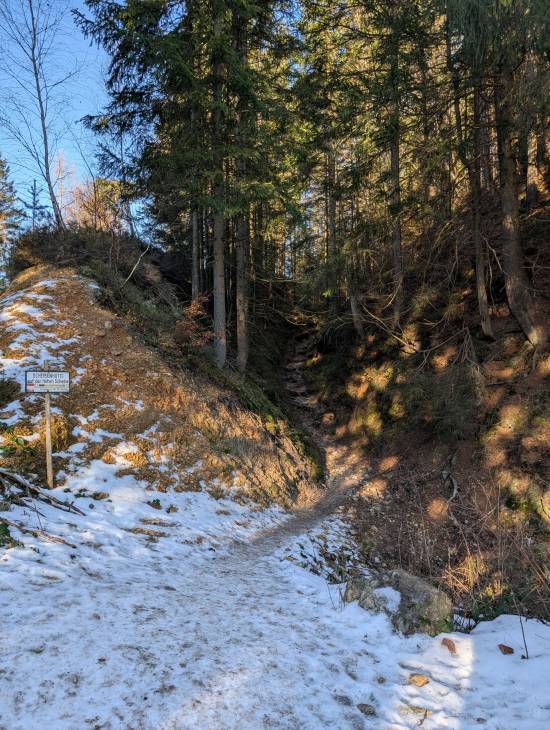 pxl_20250125_084938854.jpg pxl_20250125_084938854.jpg