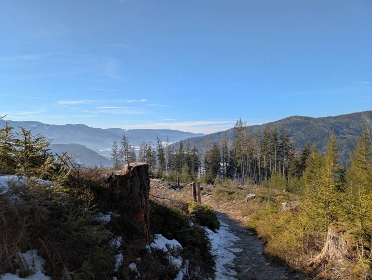 pxl_20250125_091412129.jpg pxl_20250125_091412129.jpg