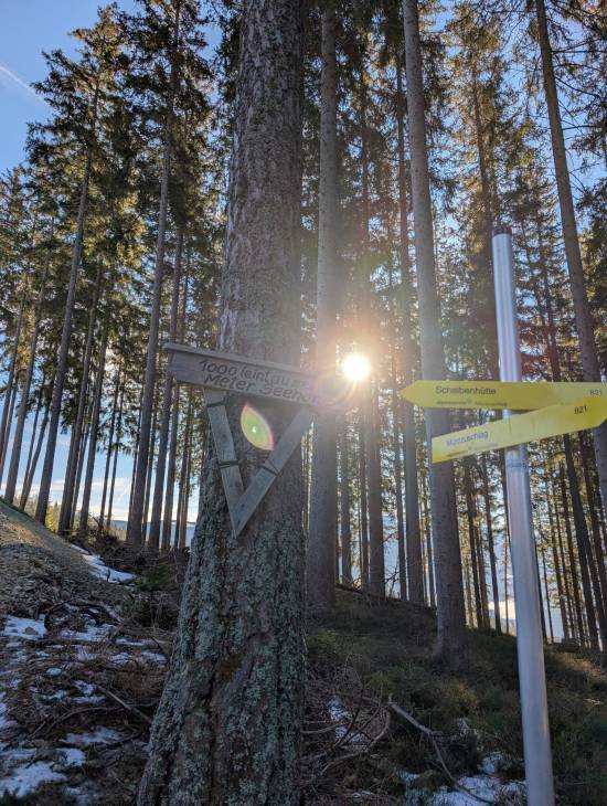 pxl_20250125_091856905.mp.jpg pxl_20250125_091856905.mp.jpg