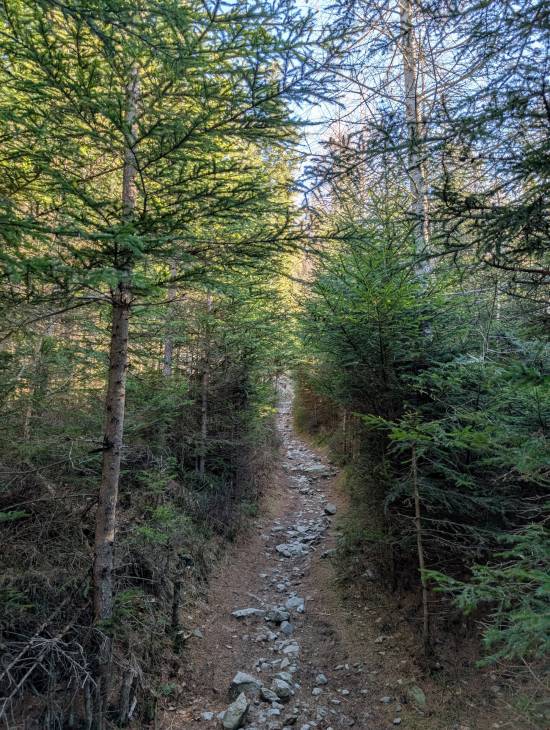 pxl_20250125_092414072.jpg pxl_20250125_092414072.jpg