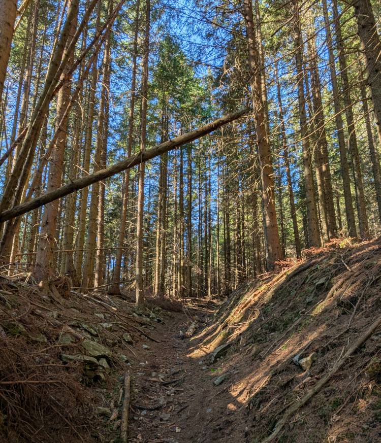 pxl_20250125_100736233.jpg pxl_20250125_100736233.jpg