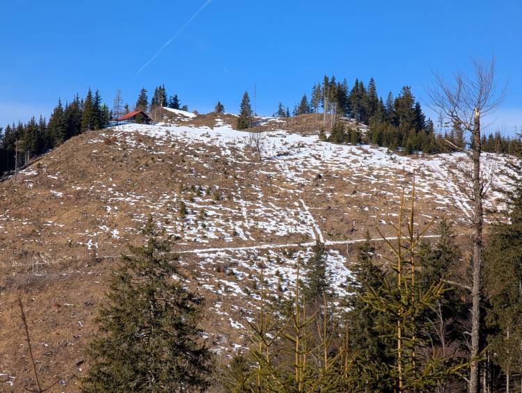 pxl_20250125_103452940.jpg pxl_20250125_103452940.jpg