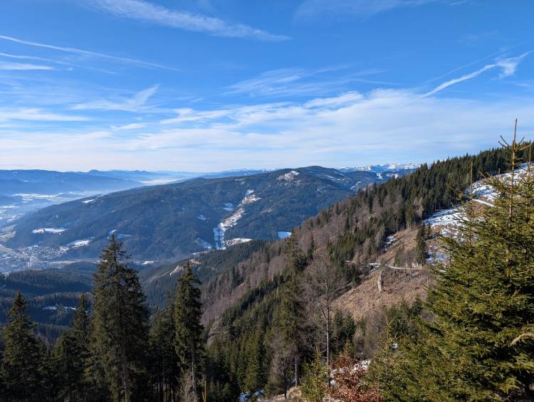 pxl_20250125_103749122.jpg pxl_20250125_103749122.jpg