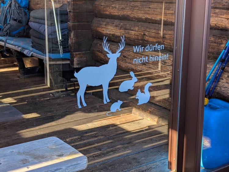 pxl_20250125_111245052.jpg pxl_20250125_111245052.jpg