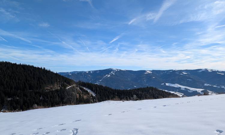 pxl_20250125_113724801.jpg pxl_20250125_113724801.jpg